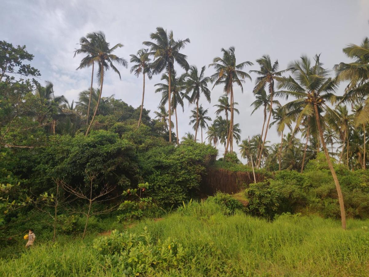 Sunshine Service Villa Kannur Exterior foto